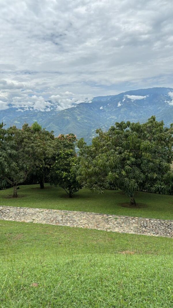 Imagen de WhatsApp 2025-11-04 a las 14.17.01_9a0fcd0d Finca – Seyma C/D Noche